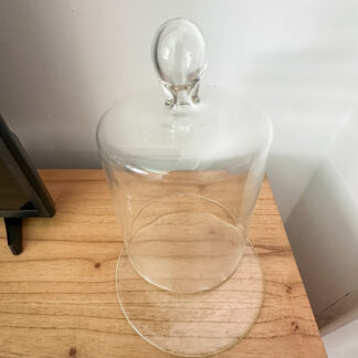 Plato de vidrio ideal Campana